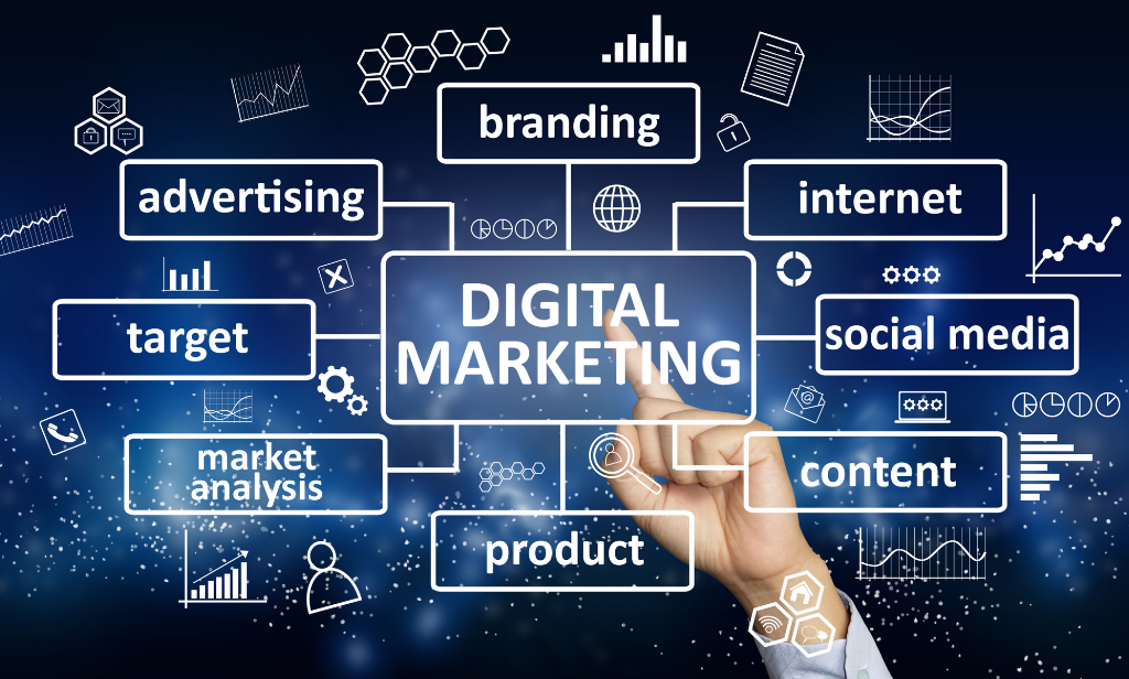 Digital Marketing Company In Chandigarh