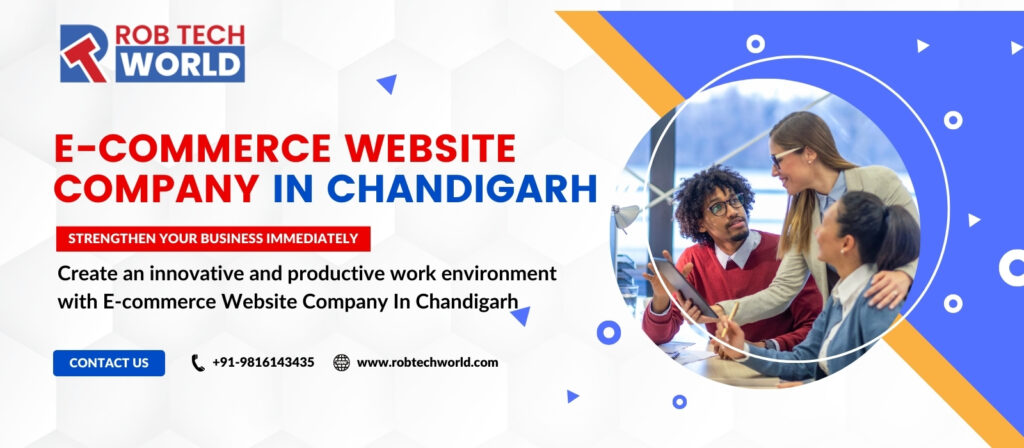 E-commerce Website Company In Chandigarh